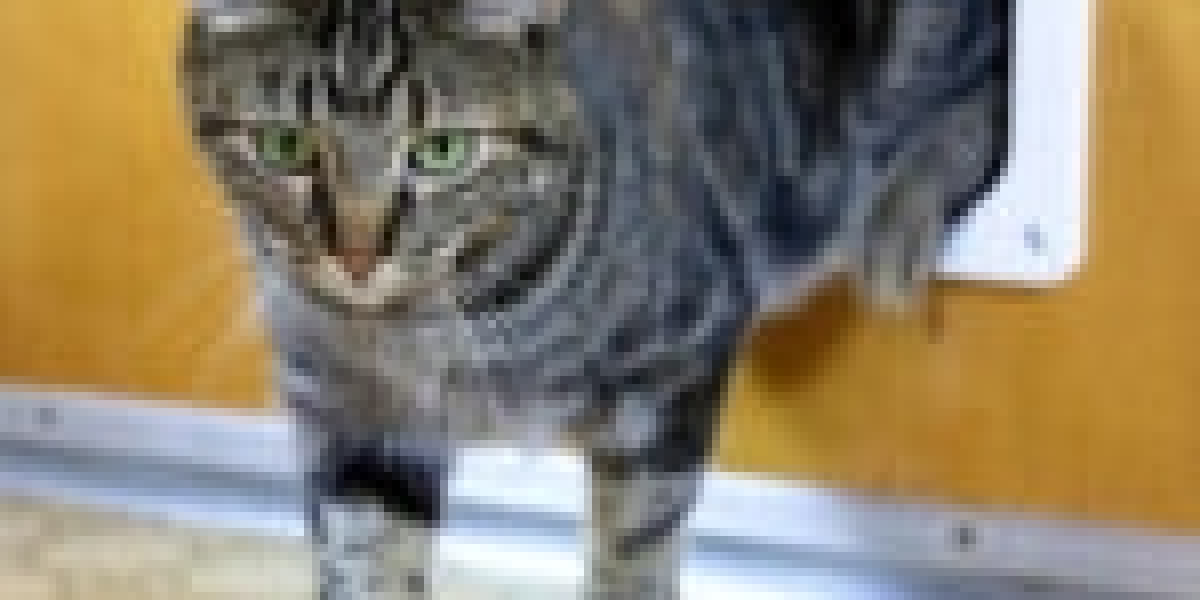 5 Laws Everyone Working In Cat Door Technician Should Know