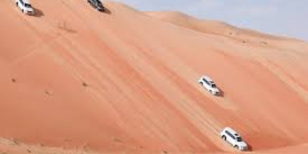 Liwa Oasis: The Hidden Gem of Abu Dhabi&#039;s Desert