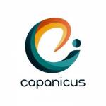 Capanicus call center applications