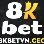 8Kbetvn ceo