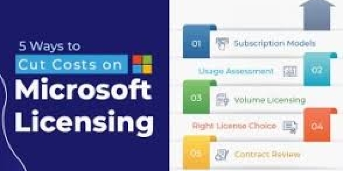 Optimizing Microsoft Dynamics 365 Licensing for Maximum ROI