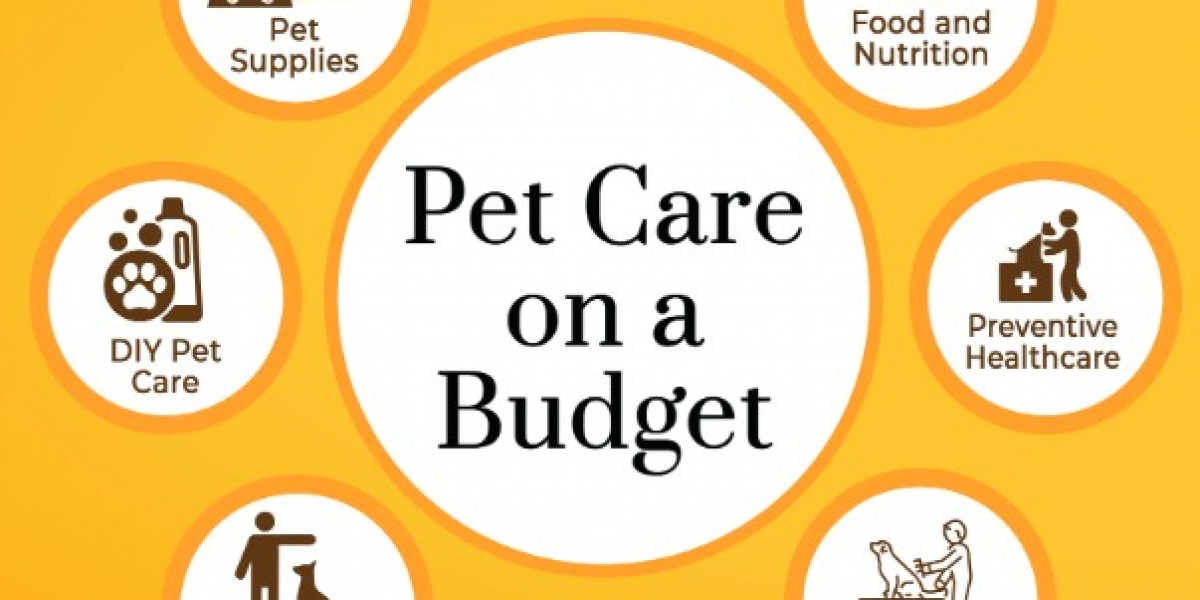 Langley Veterinarian | Yorkson Creek Veterinary Hospital