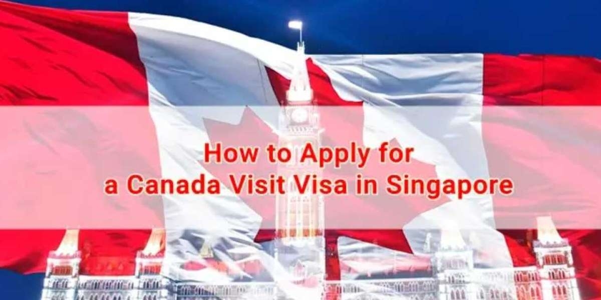 Everything Singaporeans Need to Know About the New Zealand Visa
