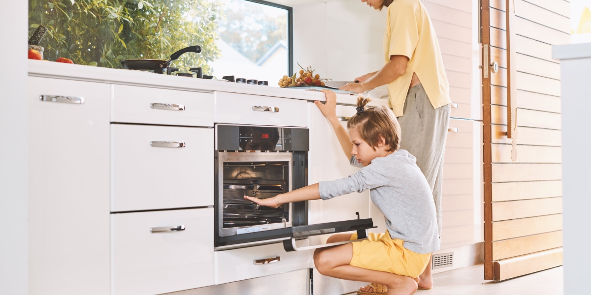 10 Things We All Are Hating About Fan Oven For Sale