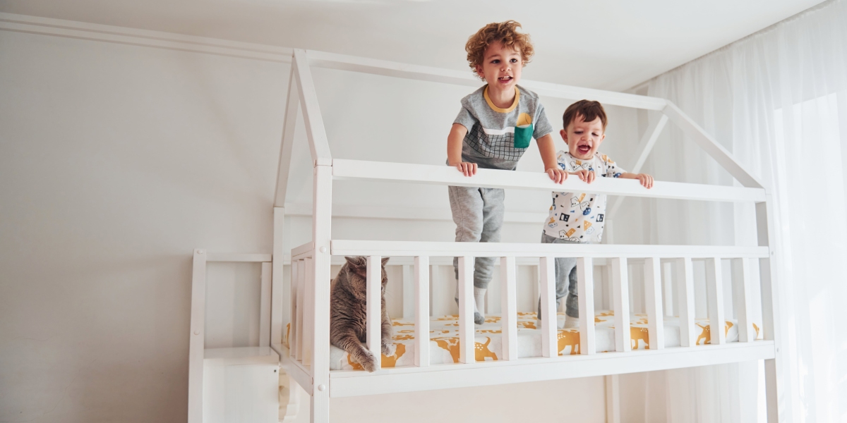 You&#039;ll Never Guess This Childrens Bed With Slide&#039;s Secrets